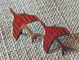F475 - Pin Patrouille Suisse 2er Staffel