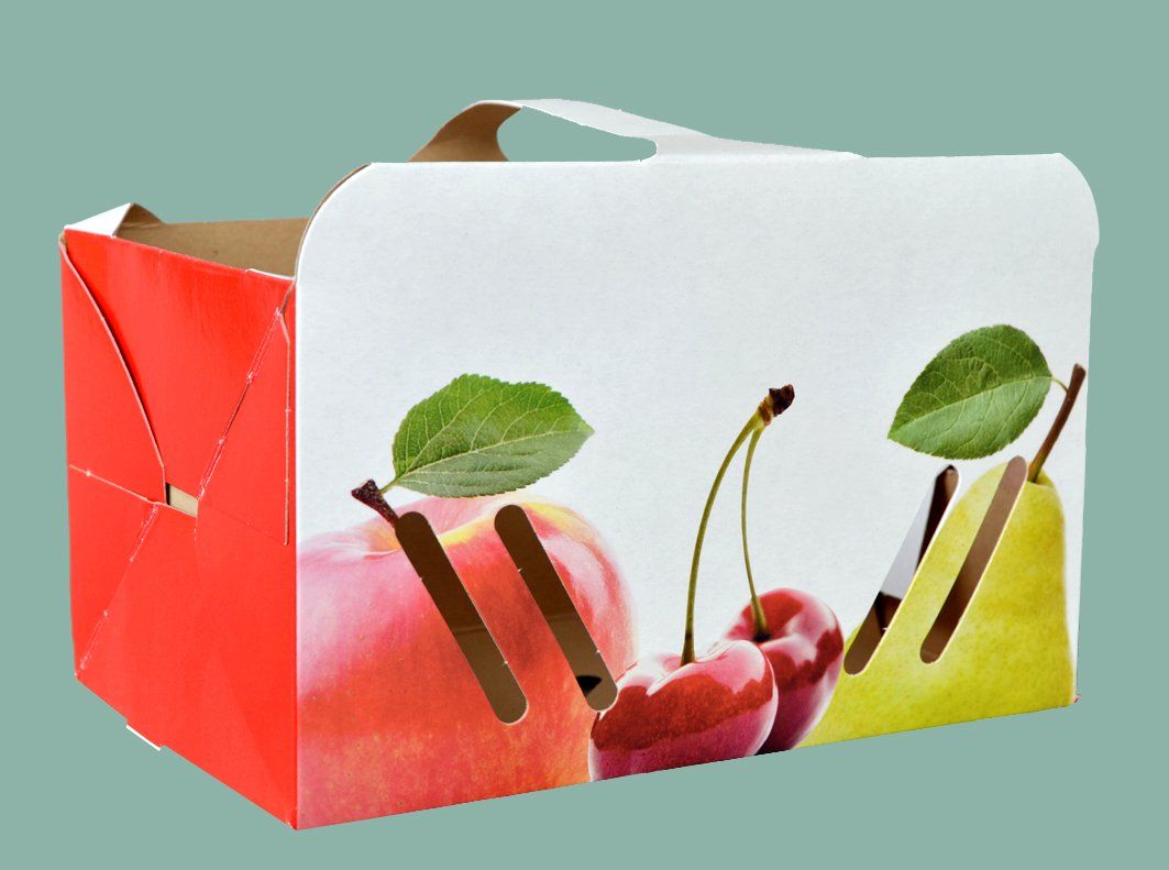 Cibi & Specialità: Fruchtschalen 1 kg – Nuovo e nell'imballaggio originale da Lauperswil venduto da oeko-sack 1