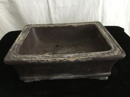 Bonsai Schale 15,5 x 13 cm