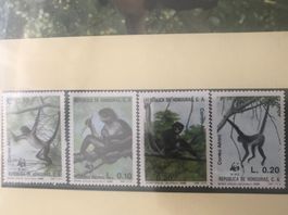 Honduras 1990 WWF Satz Geoffroy-Klammeraffe postfrisch