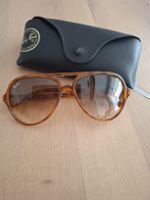 Ray Ban Cats