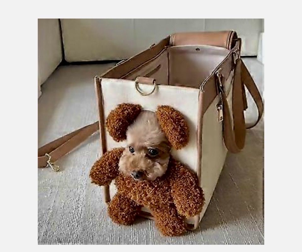 Liege- & Schlafplätze: Hundetragtasche – Neu (gemäss Beschreibung) aus Kreuzlingen von Tronc59