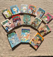 Rave Manga, Band 1 bis 14