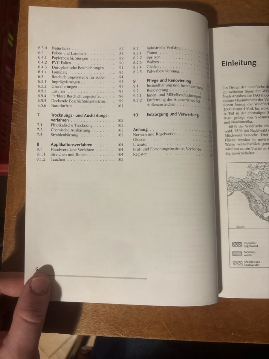 Libri: Oberflächenbehandlung von Holz – Usato da Zürich venduto da WWehrle 2