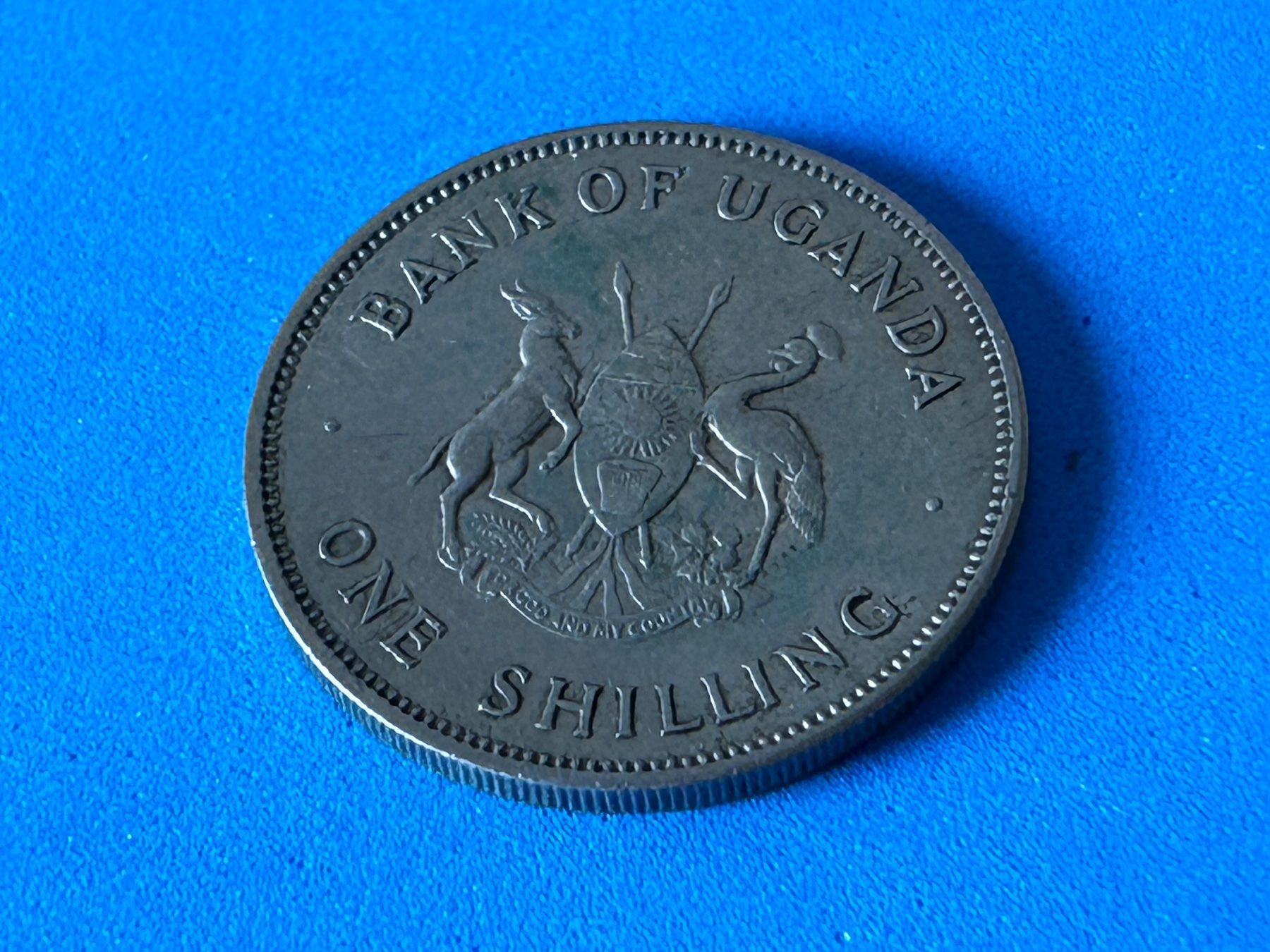 Alle Münzen: Uganda - 1 Shilling 1966 – Gebraucht aus Corcelles NE von AJKader 5