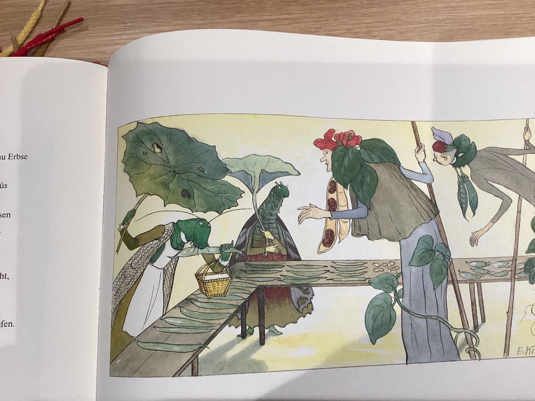 Libri: Ernst Kreidolf / Blumenmärchen 1989 – Usato da Beinwil am See venduto da kae_gh7c 7