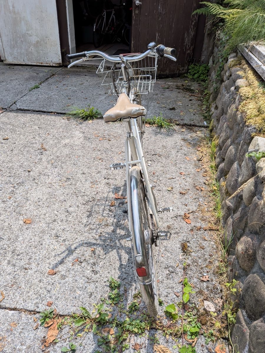 Biciclette: Creme Cycles Velo – Usato da Horw venduto da donia88 1
