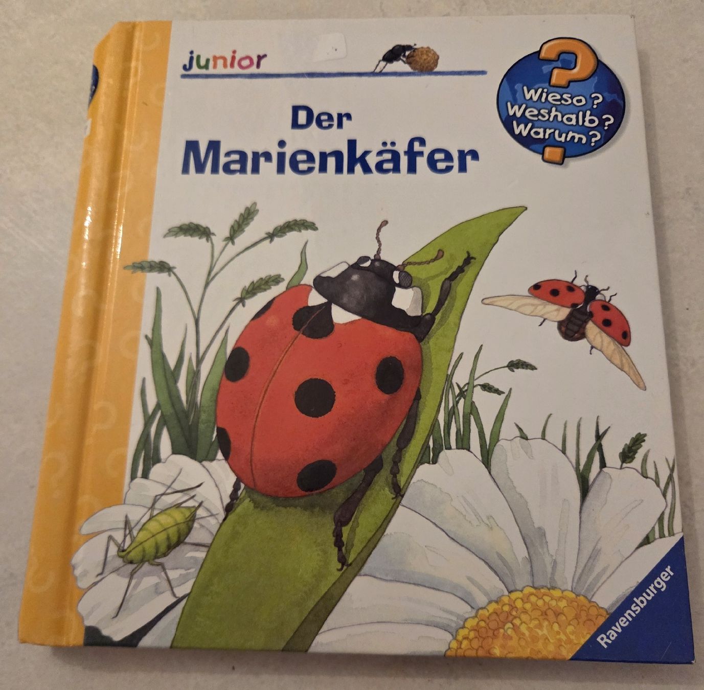 Bücher: Wieso Weshalb Warum Der Marienkäfer Buch – Gebraucht aus Wetzikon ZH von strubeli444