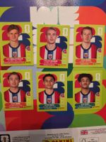 Panini Norwegen Set