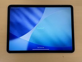 Apple iPad 10. Generation 64GB ohne Kabel RV479