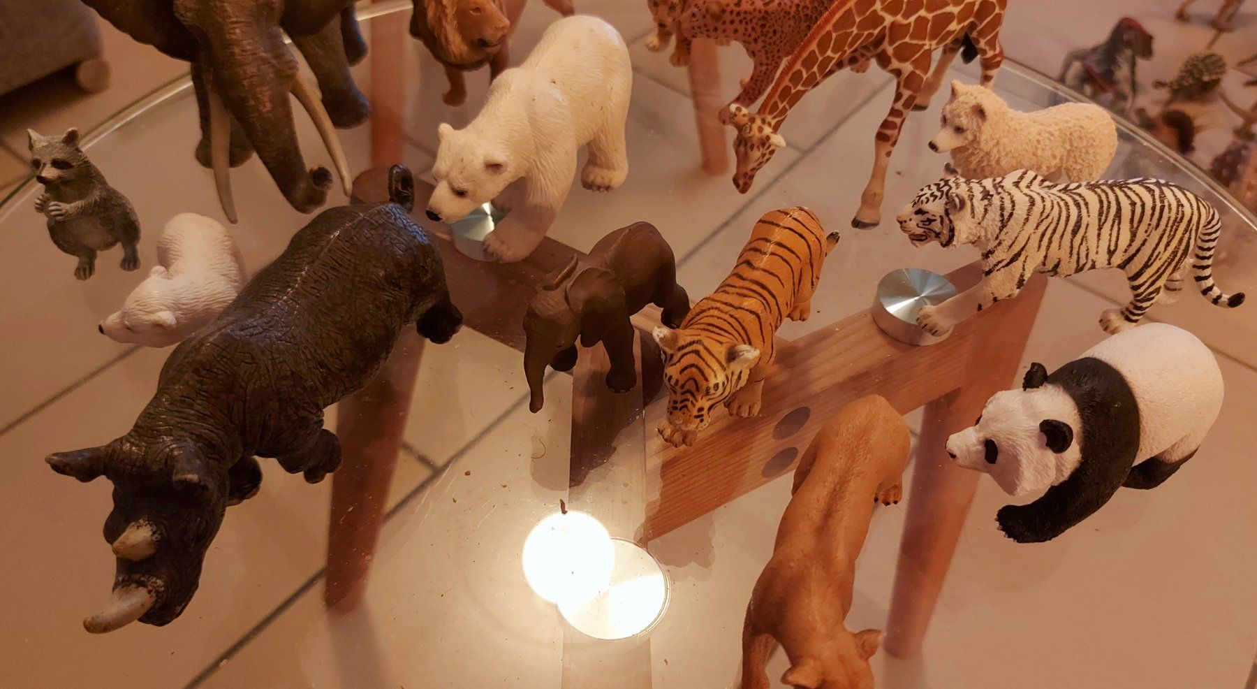 Schleich Giocattoli: Wildtiere Schleich – Usato da Ried-Brig venduto da Pimlico 2
