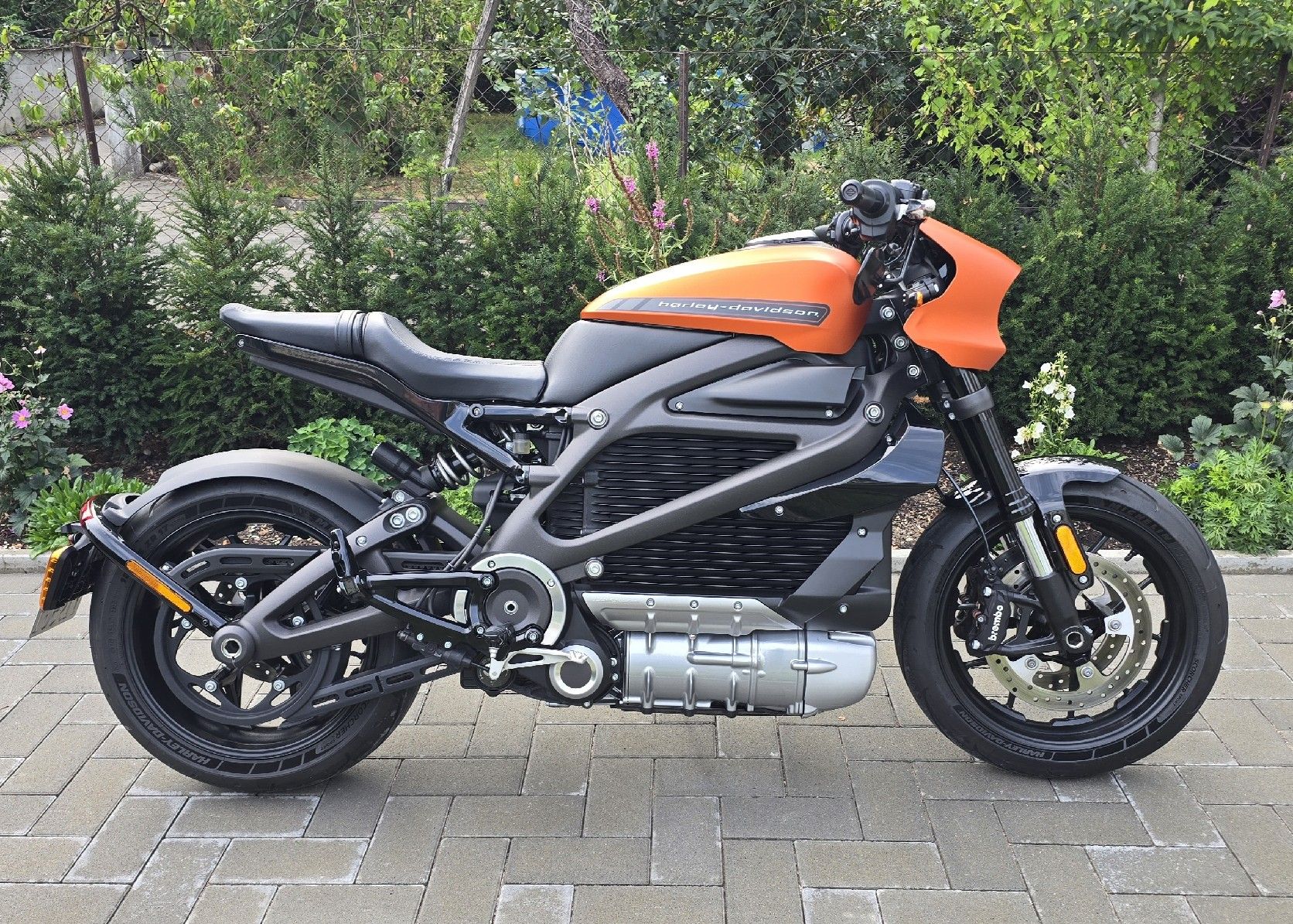 Harley-Davidson Route: Harley-Davidson LifeWire – D'occasion à Bern par freebird_customs 2