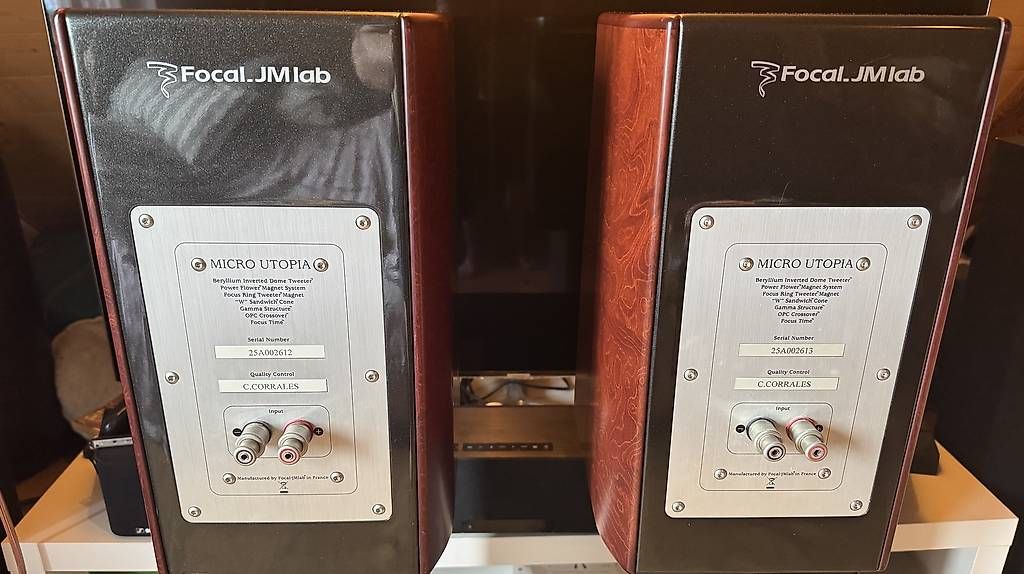 Casse acustiche: Focal Utopia Micro Be – Usato da Hombrechtikon venduto da jimikern 3