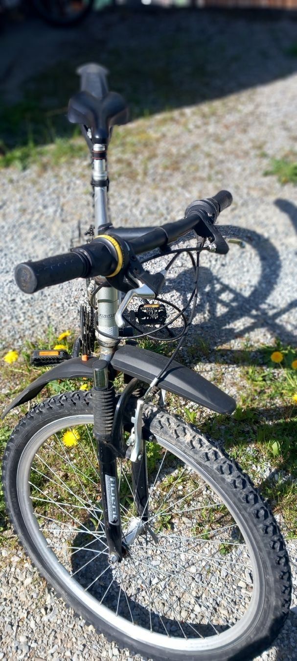 Fischer Biciclette: Fischer Mountainbike Silber – Usato da Ebnat-Kappel venduto da blazzi 7