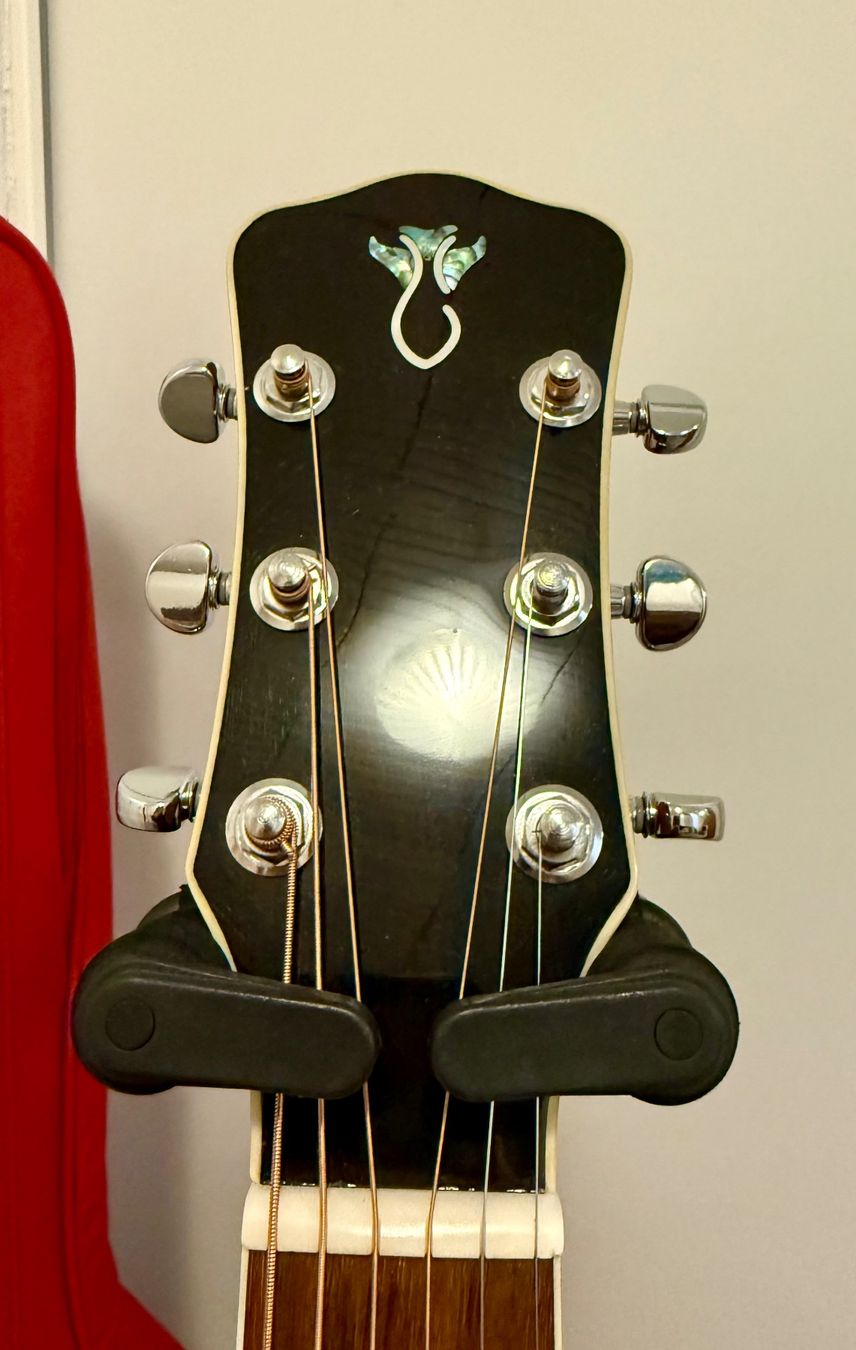 Strumenti musicali: Levinson LDC-25 - Dreadnought Cutaway – Usato da St-Séverin venduto da L_M_ 3