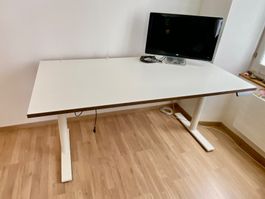 Elektrisch höhenverstellbarer Sitz-/Steh Schreibtisch