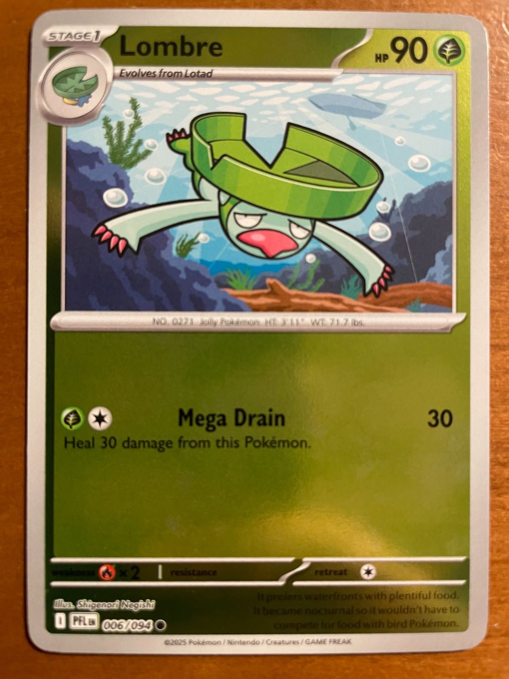 Pokémon Carte collezionabili: Pokemon Lombre Reverse (Versand gratis) – Nuovo (secondo la descrizione) da Chur venduto da Angerson