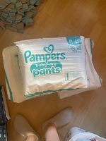 Monatspack Pampers Pants Gr. 8