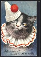 Arthur Thiele: Katze mit Harlekinsmütze