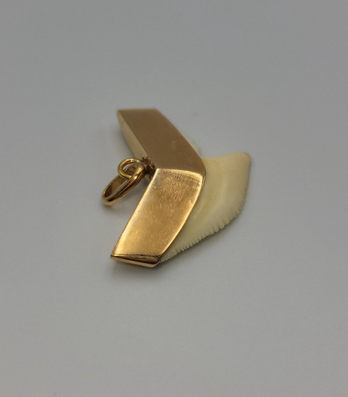 Anhänger: Gold 585 Haizahn Anhänger – Gebraucht aus Wald ZH von Dasilver 8