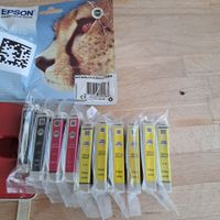 Cartouches encre Epson T0711 T0713 T0714 lot divers