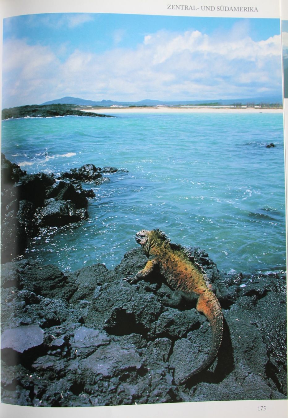 Libri: Atlas der Naturwunder – Usato da Hermetschwil-Staff venduto da Starbliggi 2
