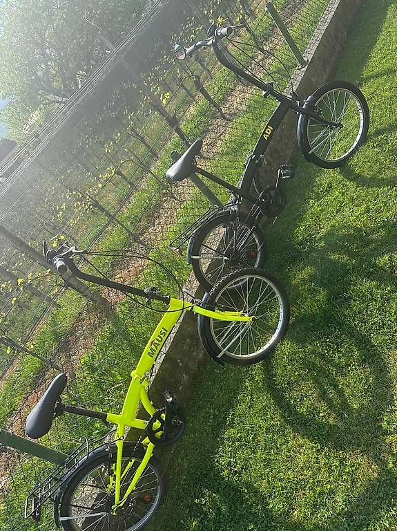 Biciclette: Biciclette pieghevoli – Usato da Arbedo venduto da dil_r78z 3