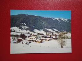 Lauenen Bern Winter (101)