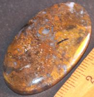 Cabochon L-3891 – Schwarzer Goldener Opal 38x22mm