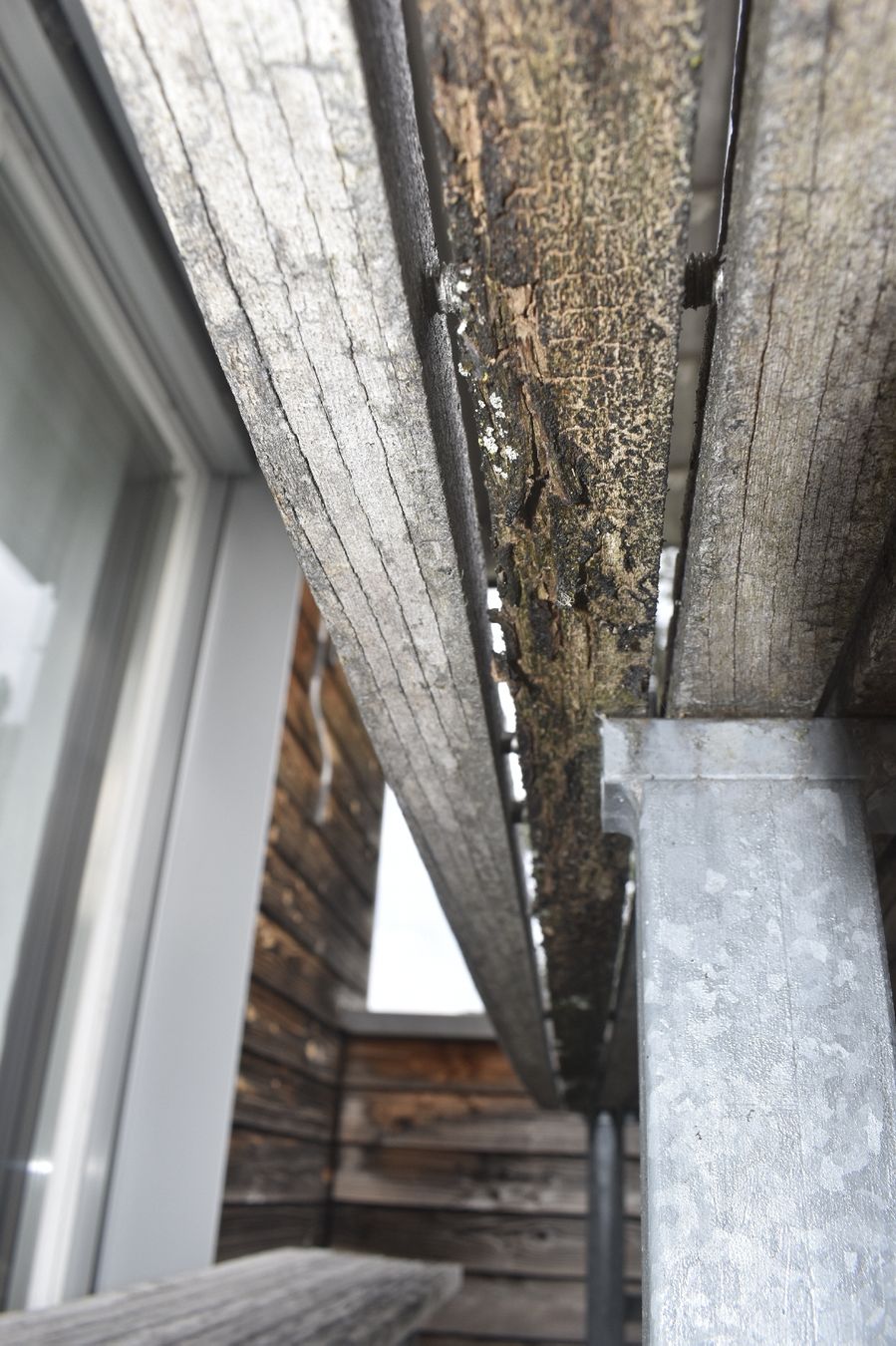 Tables: Holztisch und -bänke – D'occasion à St. Gallen par rah_lr55 6