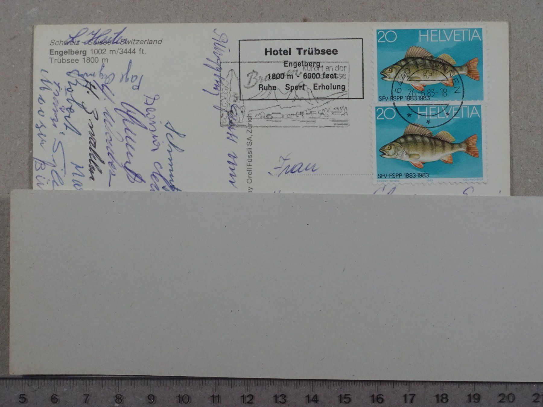 Cartoline postali: Engelberg, Trübsee, 1983 – Usato da Lenzburg venduto da fh1 1