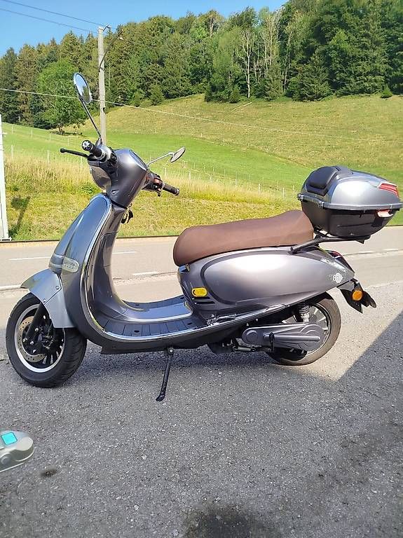 Strada: Occasion Elektro E- Roller ET4000 JS2 EFO silber – Usato da Gais venduto da MAX-Anhaenger 3