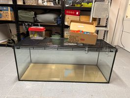 Käfig für Nager aus Glas