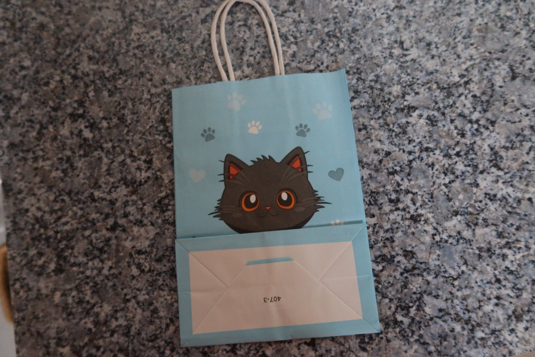 Sacs: Geschenktüte – Neuf (Voir description) à Täuffelen par Cindybussy 1