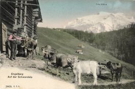Schwandalp  OW  ob Engelberg