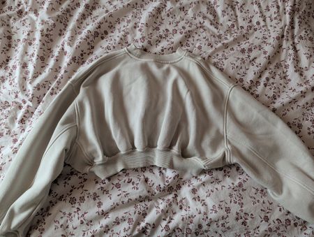 Zara Cropped Sweater in beige