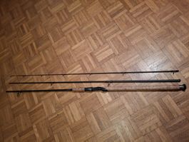 Shimano Beastmaster TRZ 330 AX Zander/Forellenrute