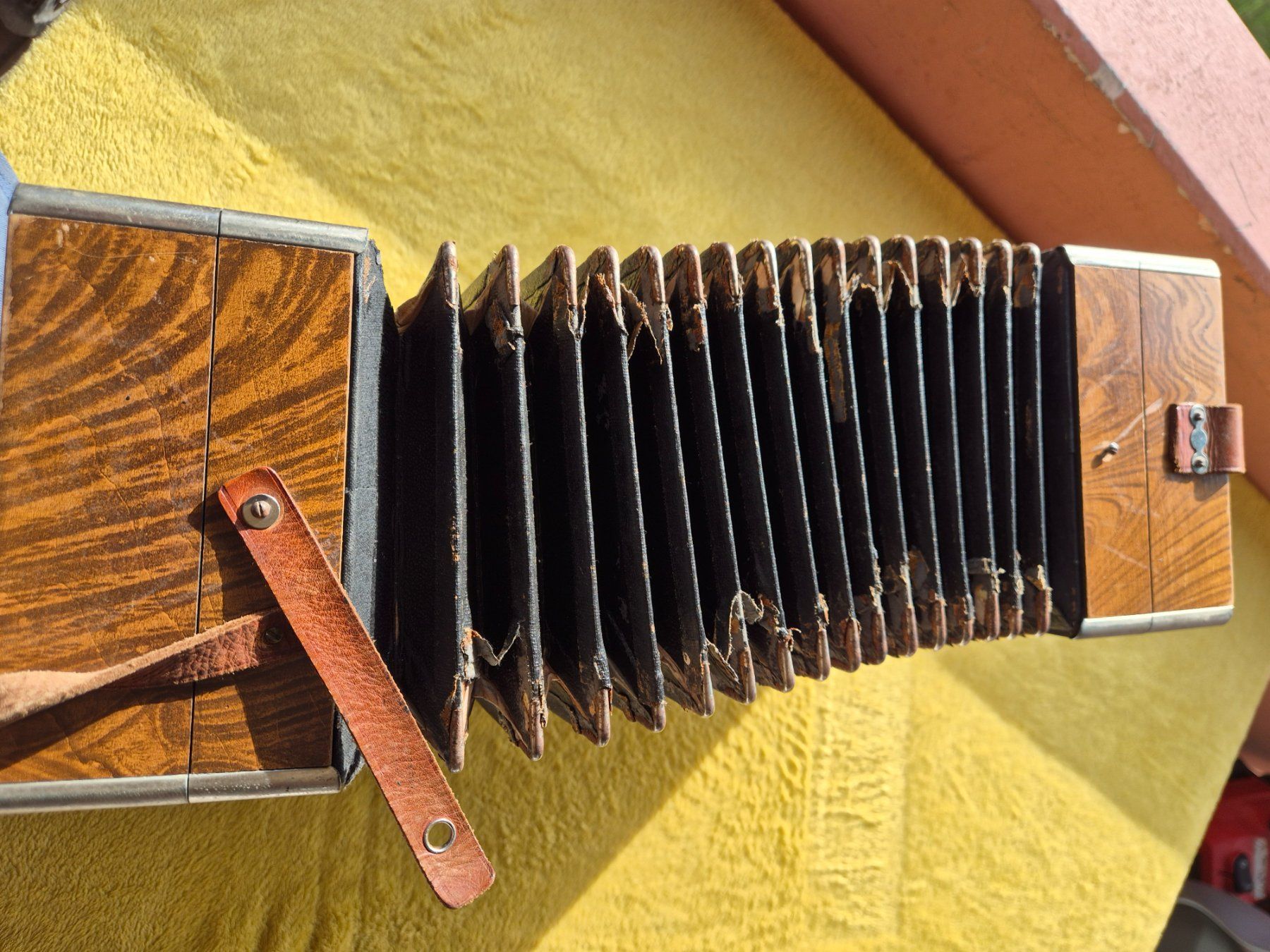 Strumenti musicali: Accordéon ancien – Usato da Monthey venduto da McAuthor 7