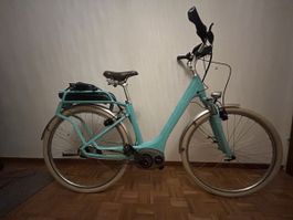 VAE Cube Elly Cruise Bosch 