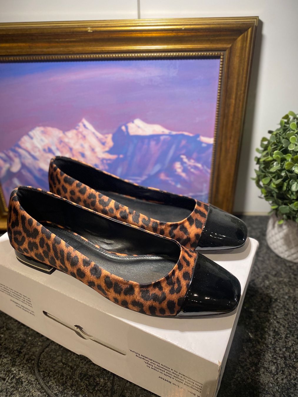 Damenschuhe: Leopard print flats – Neu und originalverpackt aus Safenwil von rgs_tg62 2