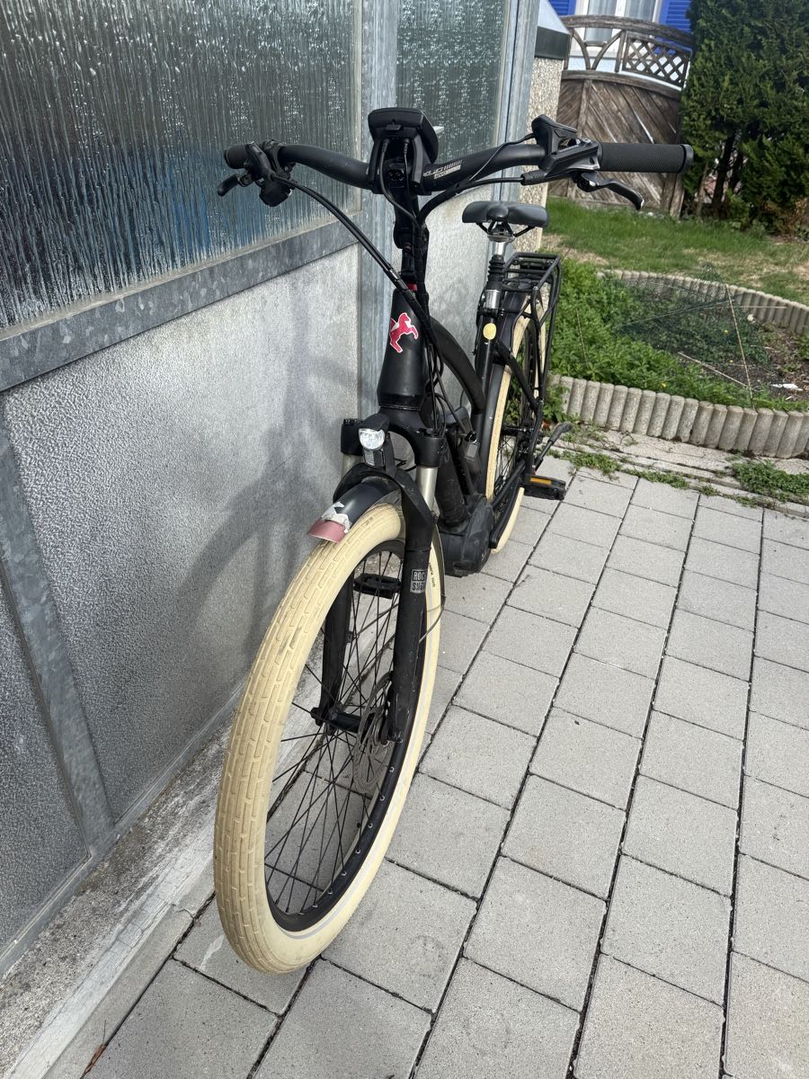 Bosch Biciclette: Sinus E-Bike mit Bosch Performance Line Motor  – Usato da Oberentfelden venduto da speed_71 6