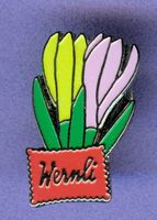 Wernli  Krokus