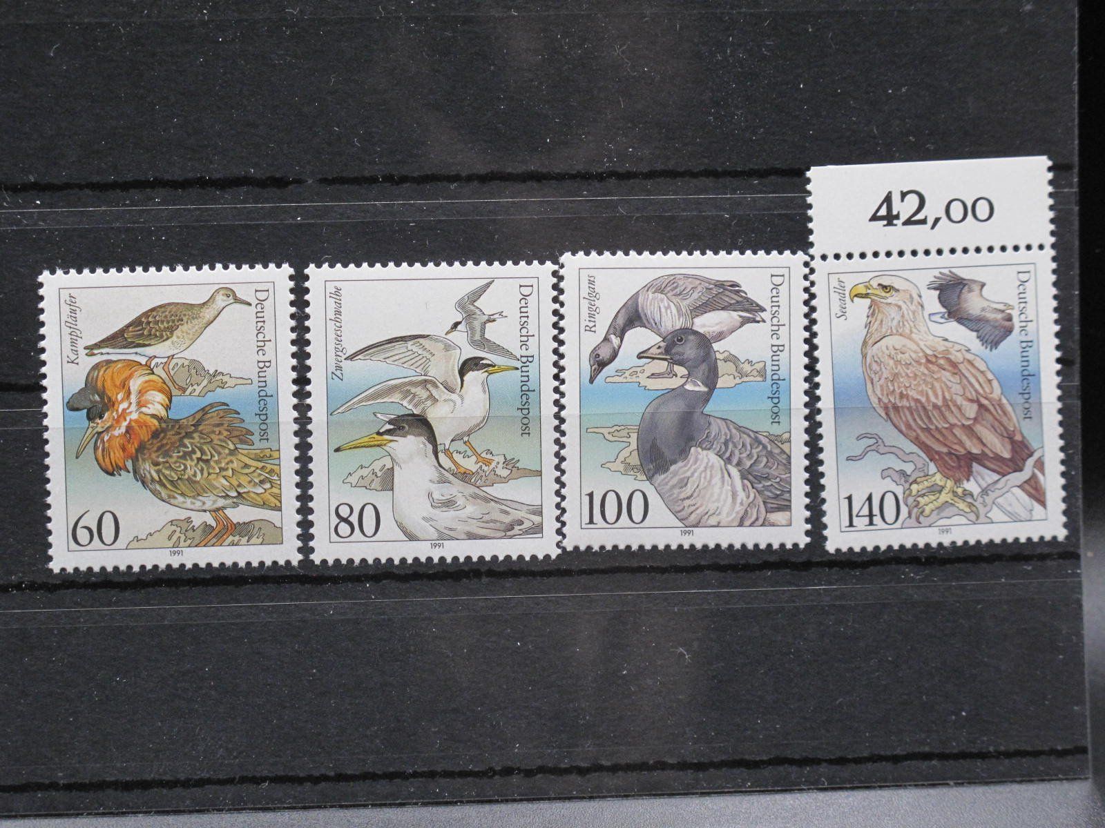 Tous les timbres: BRD 1991 Bedrohte Seevögel ** – D'occasion à Wil SG par fva01