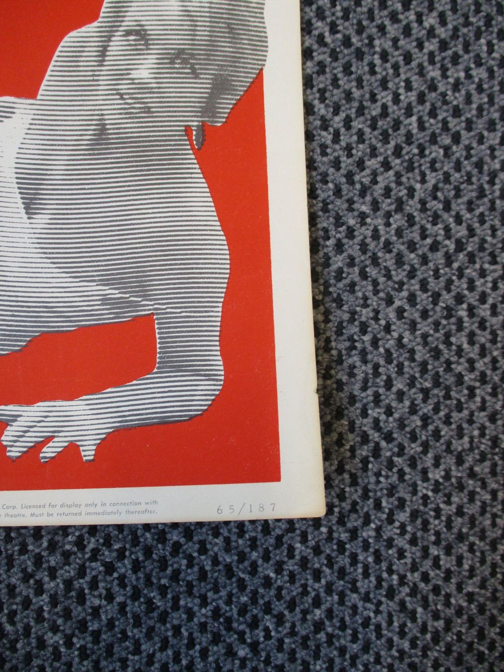 Foto & Immagini: THE THRILL KILLERS 1964 ORIGINAL U.S. INSERT FILM POSTER – Usato da Zürich venduto da edi_9xtw 1