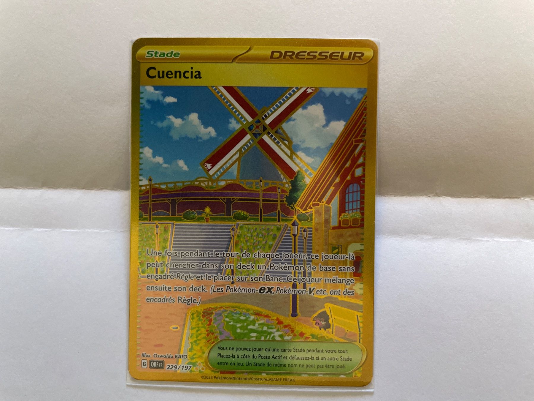 Pokémon Cartes à collectionner: 📦 cuencia 229 gold – D'occasion à Genève par Hoenn.