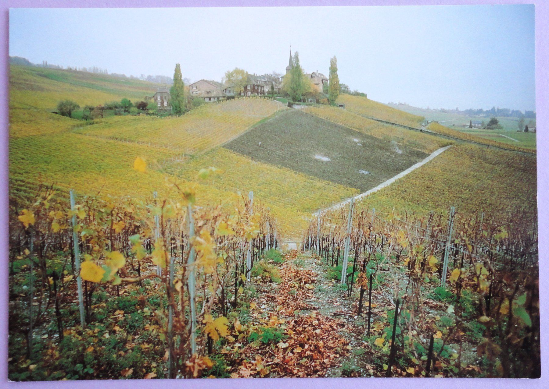 Cartoline postali: Féchy-Dessus, Vignes rousses – Usato da Fétigny venduto da Billy2miny