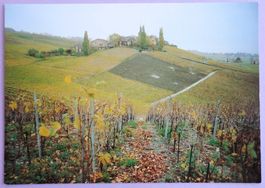 Féchy-Dessus, Vignes rousses