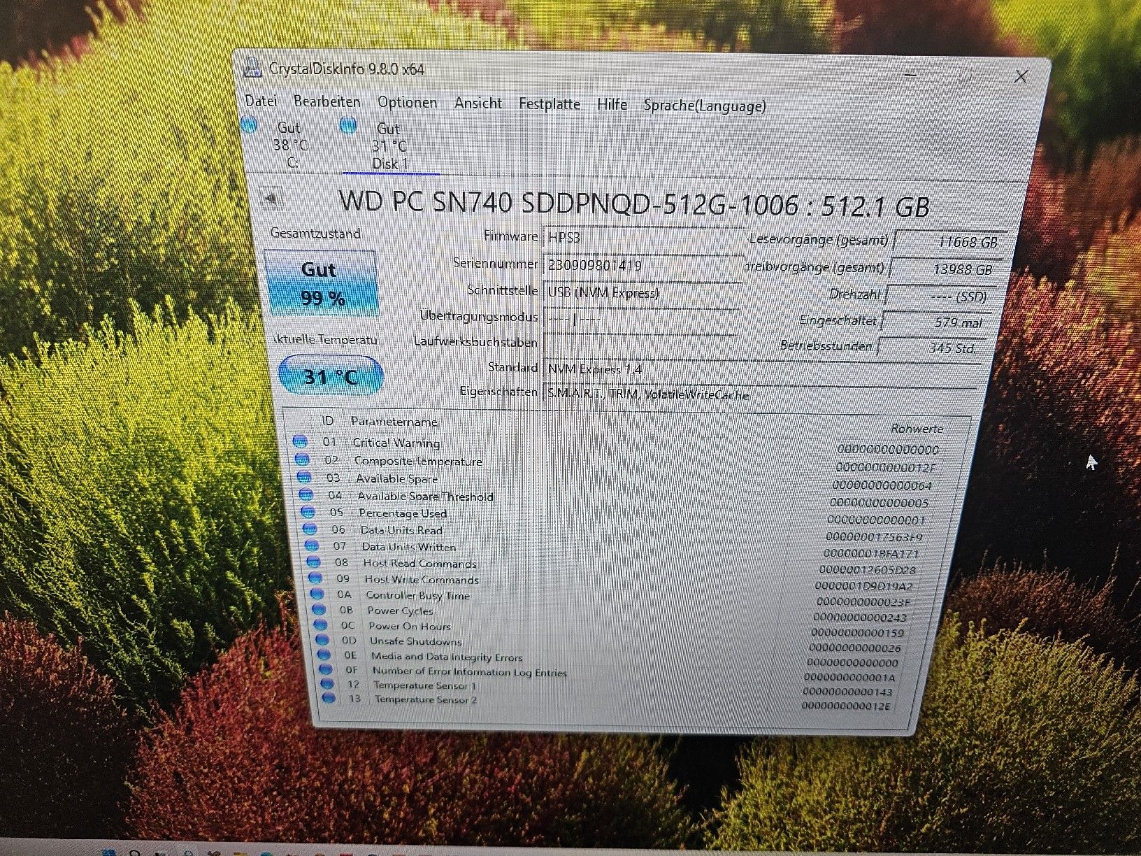Western Digital Dischi rigidi: Festplatte 512 Gb  – Usato da Burgdorf venduto da weggu.666 2