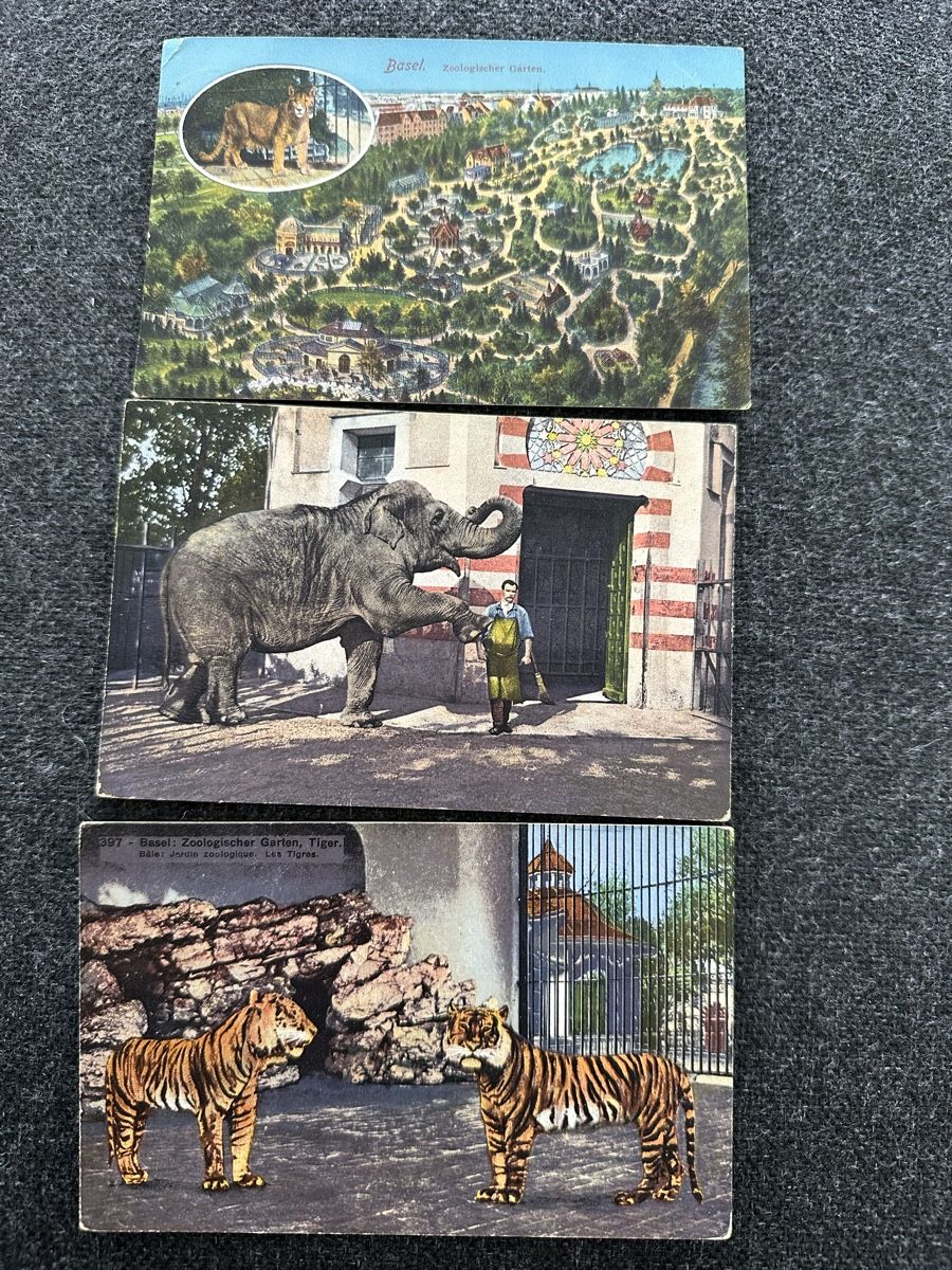 Cartes postales: Zoo Basel 1913, ca 1920 – D'occasion à Wettingen par Phibras