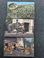 Zoo Basel 1913, ca 1920